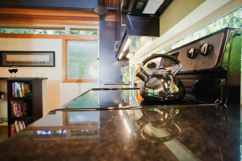 Seattle Urban Tree House-1