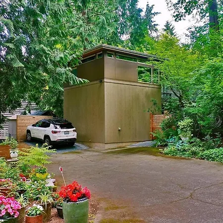 Seattle Urban Tree House-2